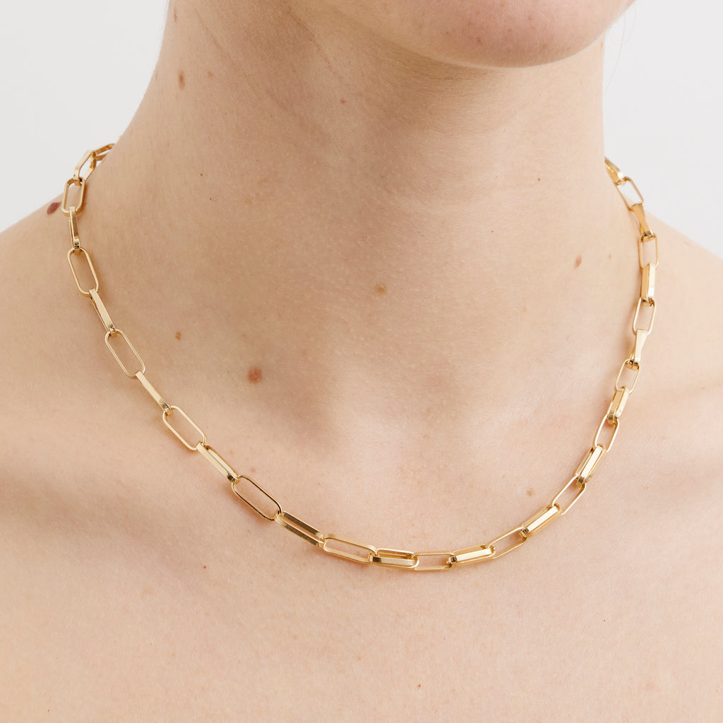 Double Mixed Link Choker Necklace