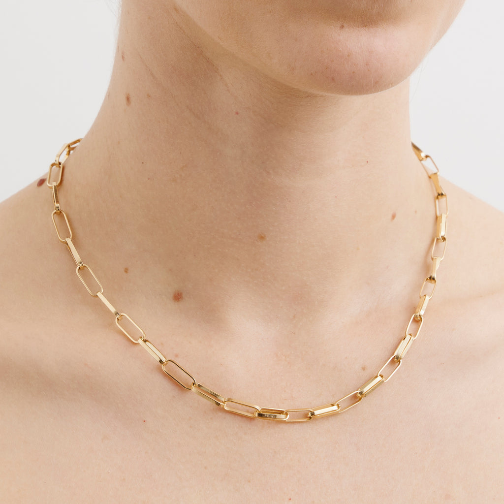 Double Mixed Link Choker Necklace
